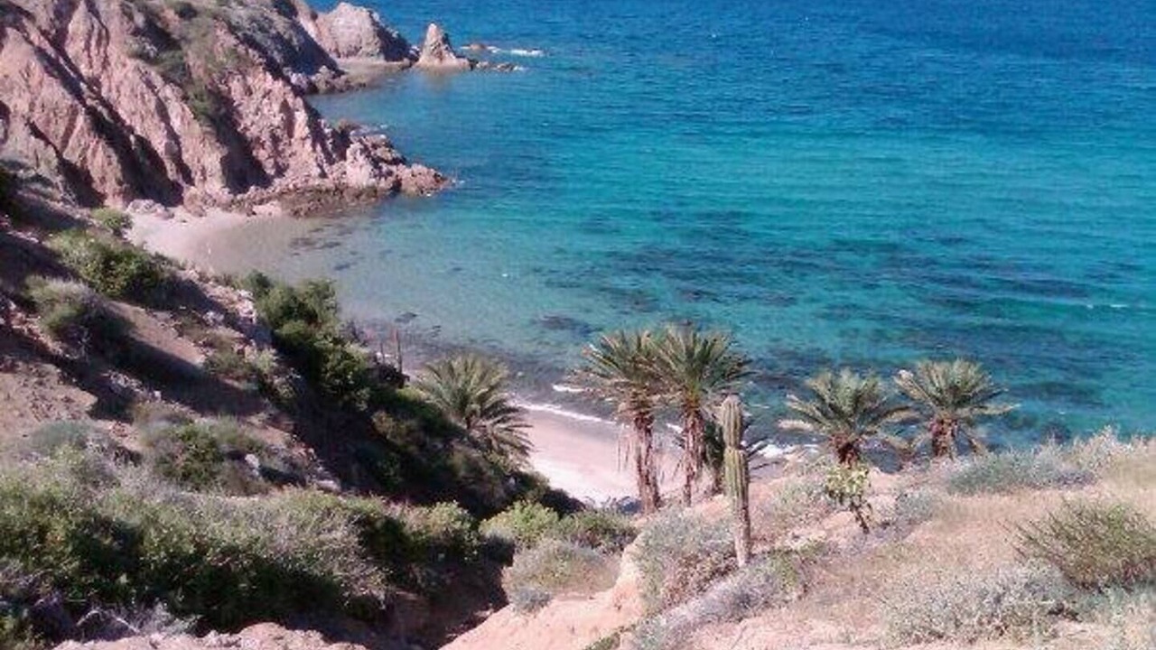 Photo of Others in San Jose del Cabo