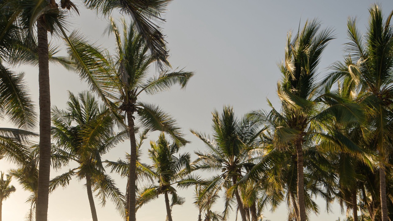 Photo of Outdoor in Barra de Potosi