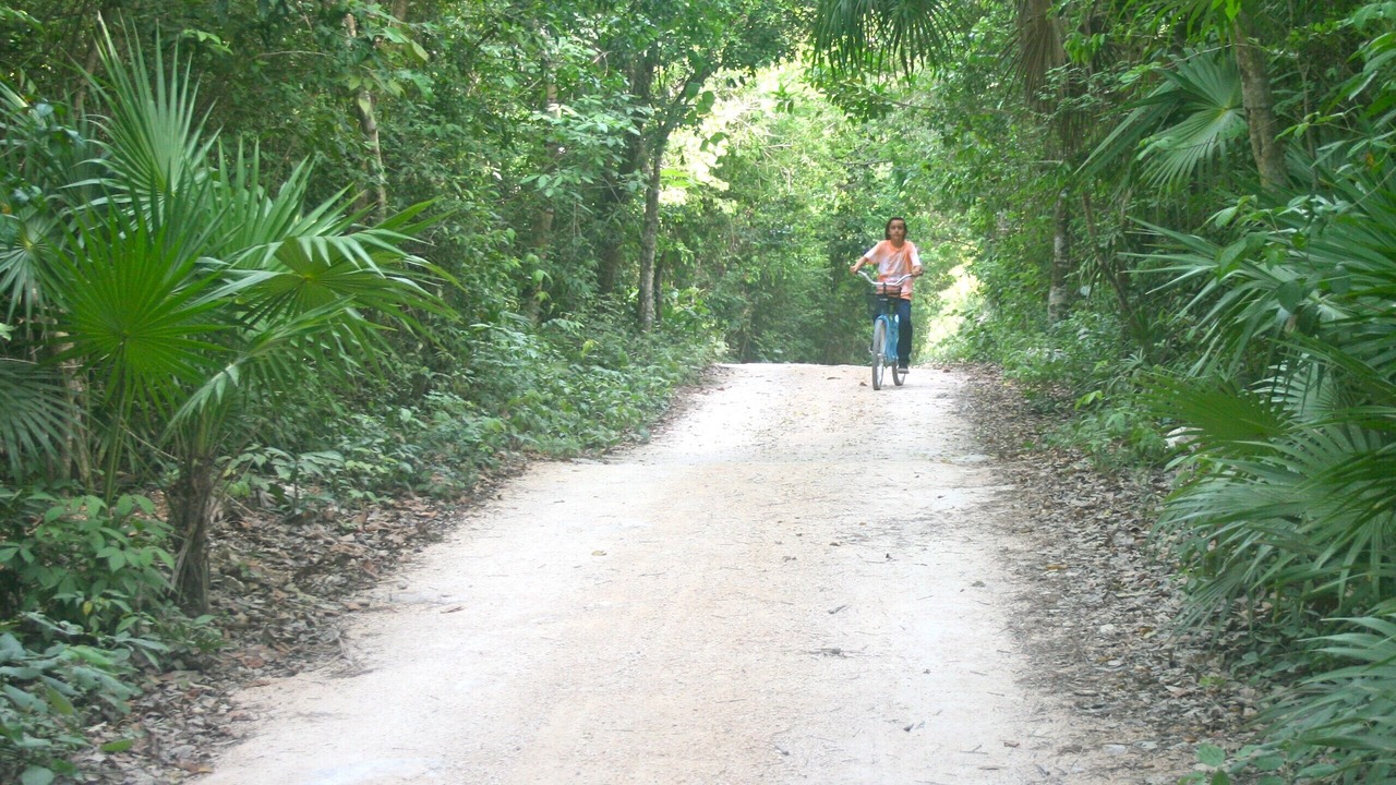 Photo of Outdoor in Akumal