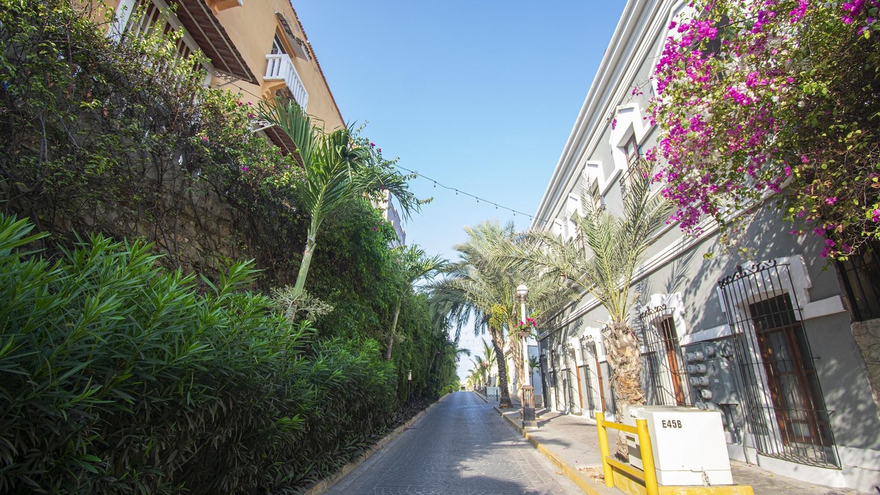 Photo of Others in Downtown Mazatlan