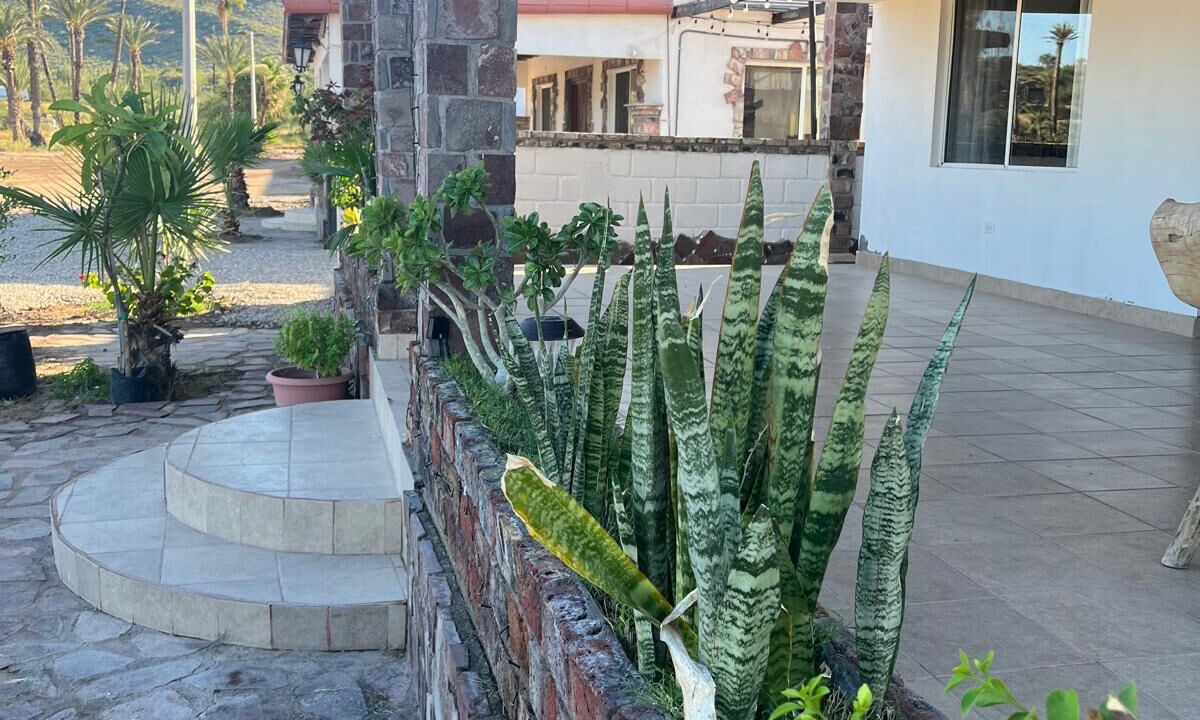 Photo of Outdoor in Mulege