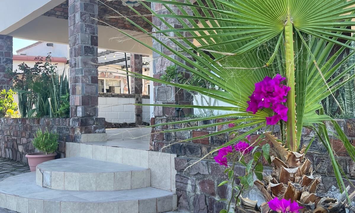Photo of Outdoor in Mulege