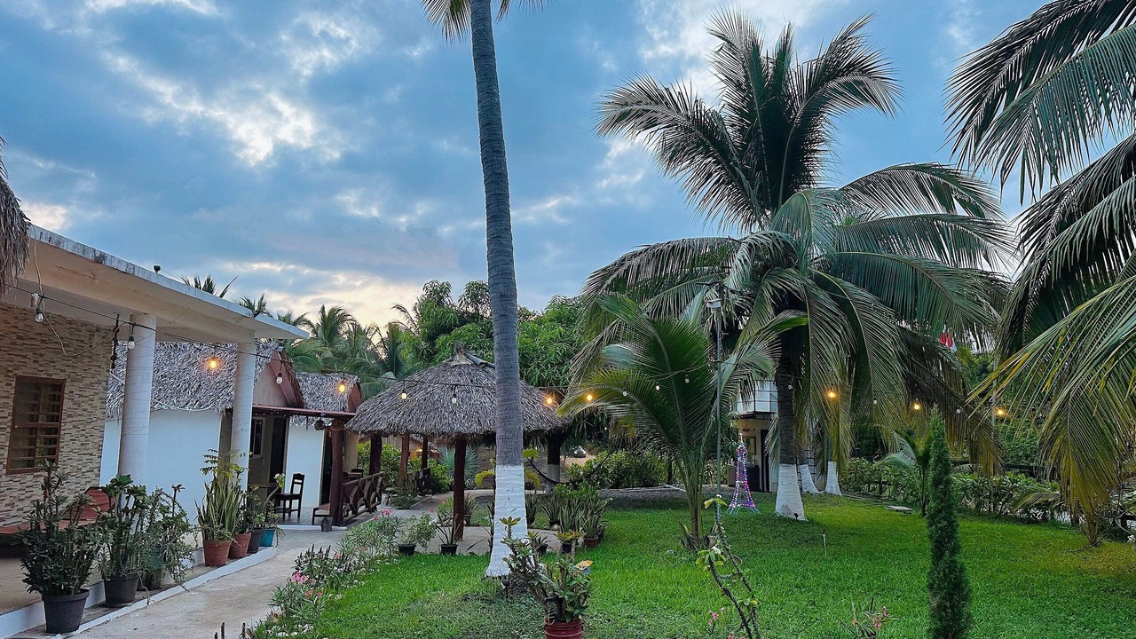 Photo of Outdoor in Saladita