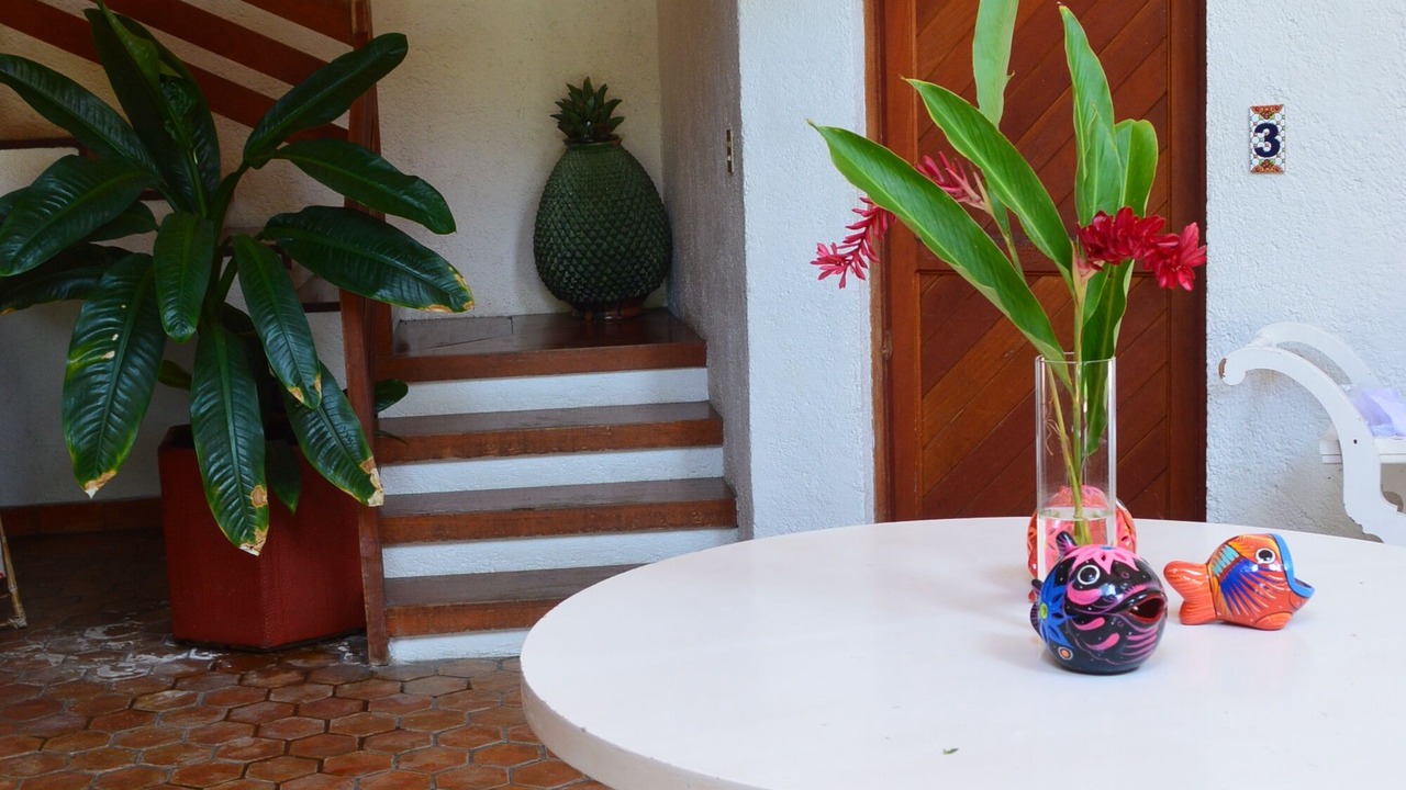 Photo of Others in Ixtapa