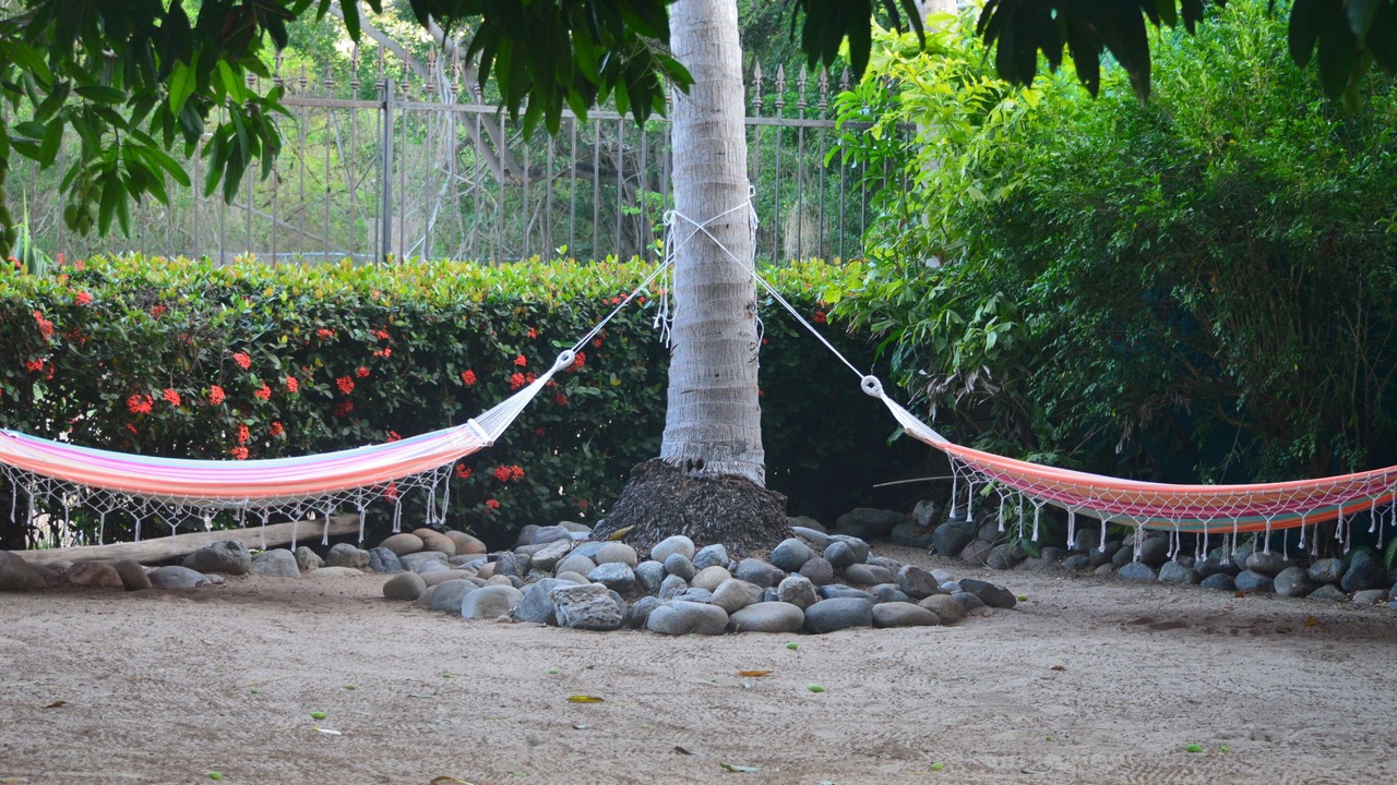 Photo of Outdoor in Ixtapa