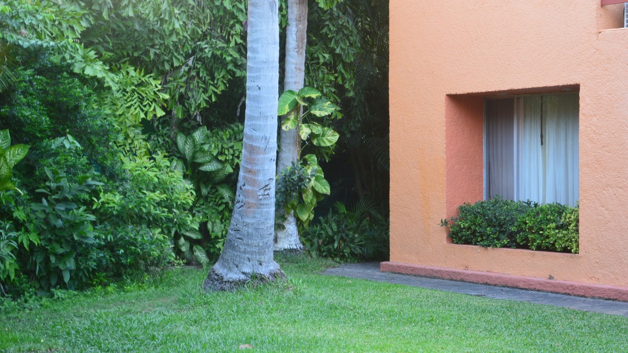 Photo of Outdoor in Ixtapa