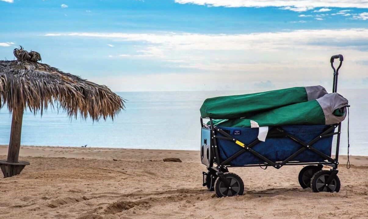Photo of Others in Cholla Bay