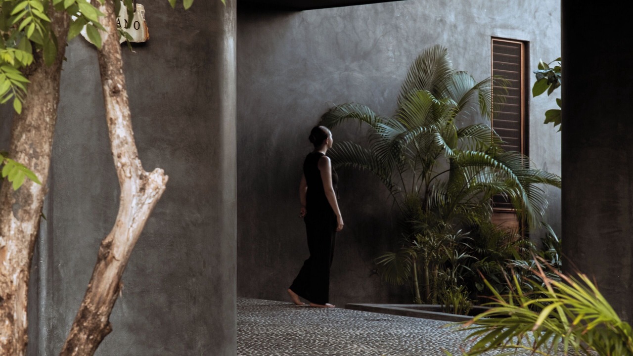 Photo of Outdoor in Troncones