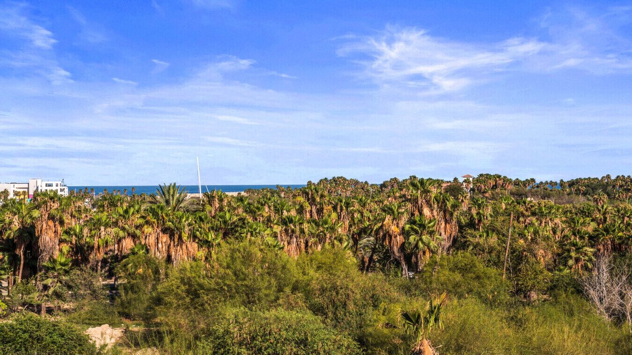 Photo of Others in San Jose del Cabo