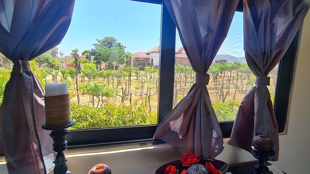 Photo of Others in Valle de Guadalupe