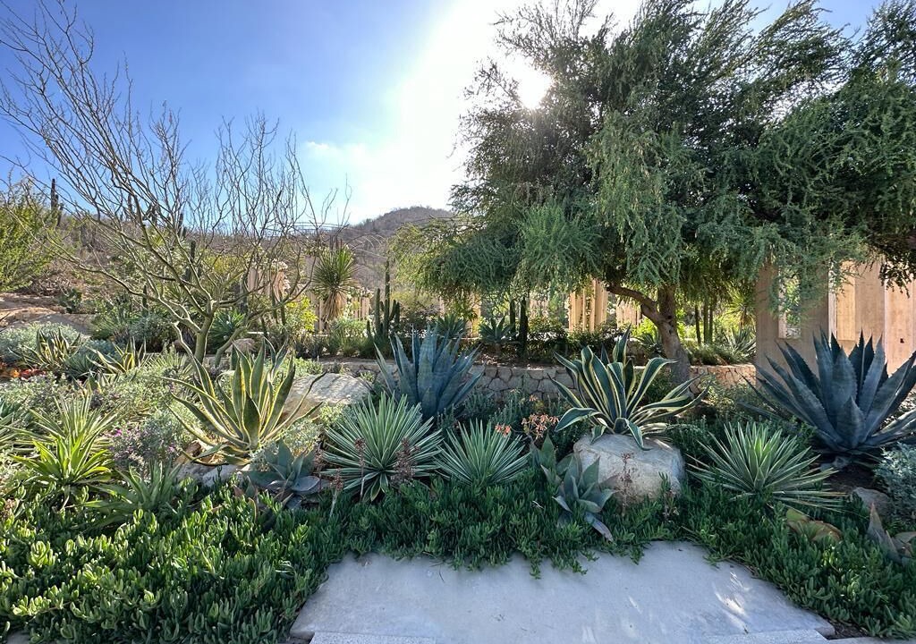 Photo of Outdoor in San Jose del Cabo