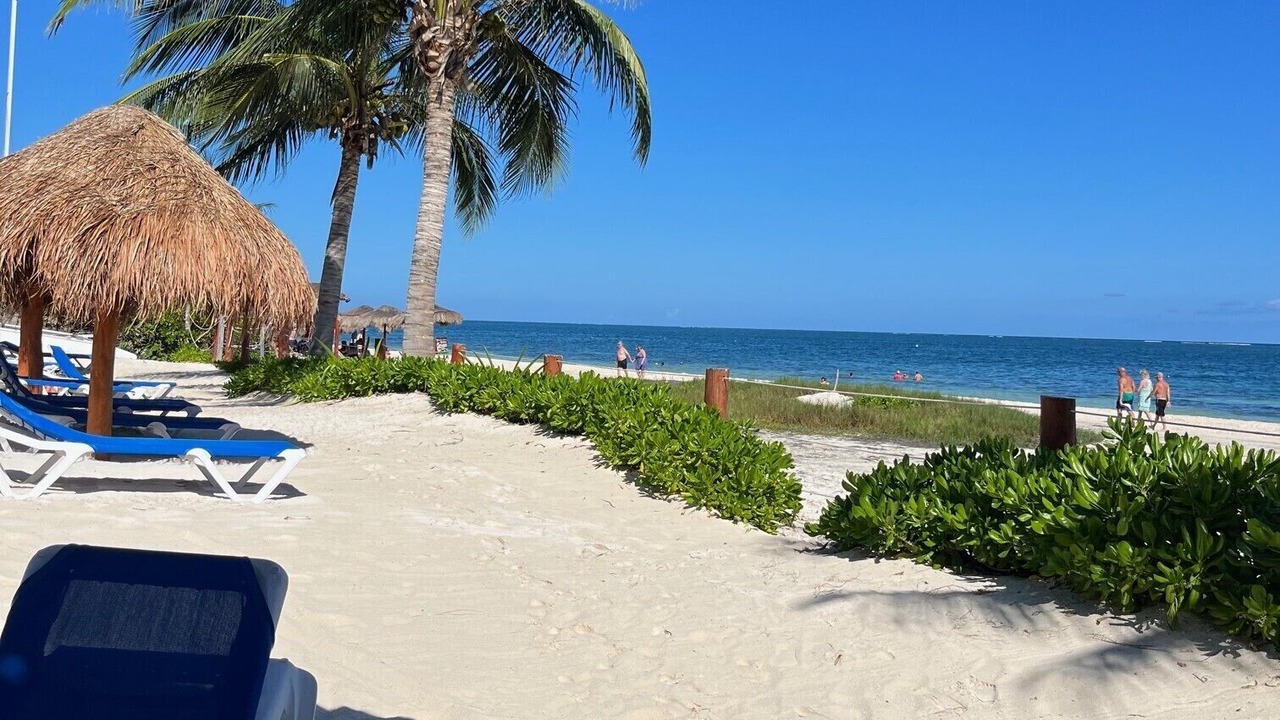 Photo of Others in Puerto Morelos