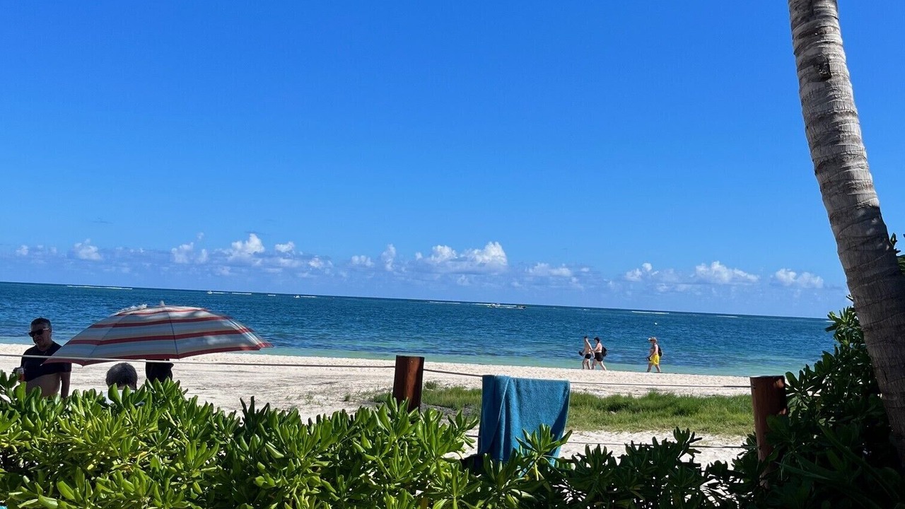 Photo of Others in Puerto Morelos