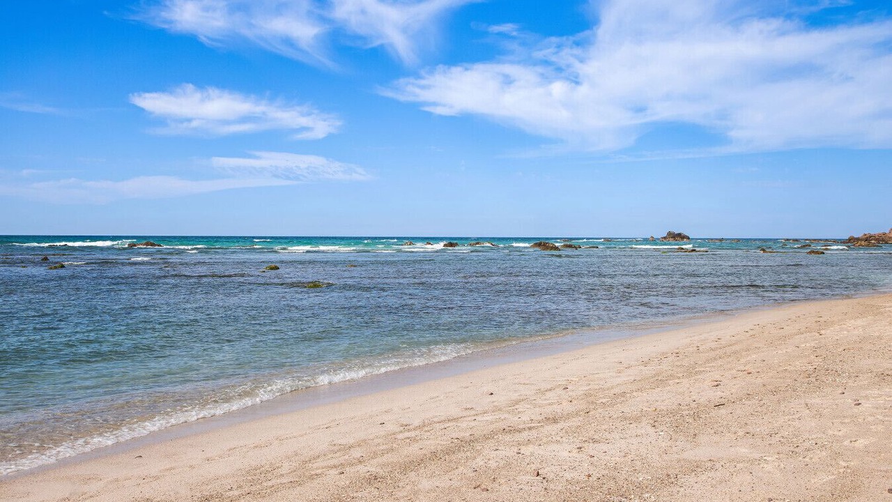 Photo of Others in Punta de Mita