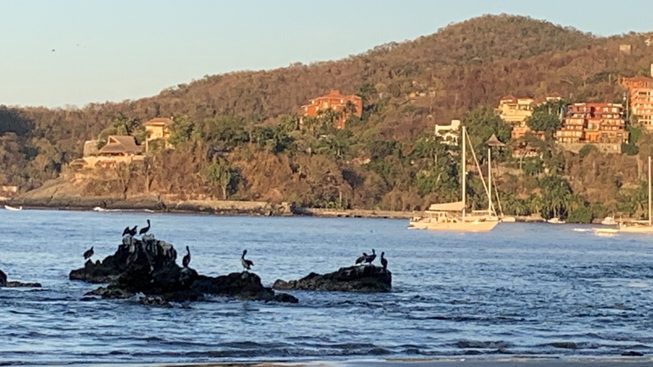 Photo of Others in Zihuatanejo