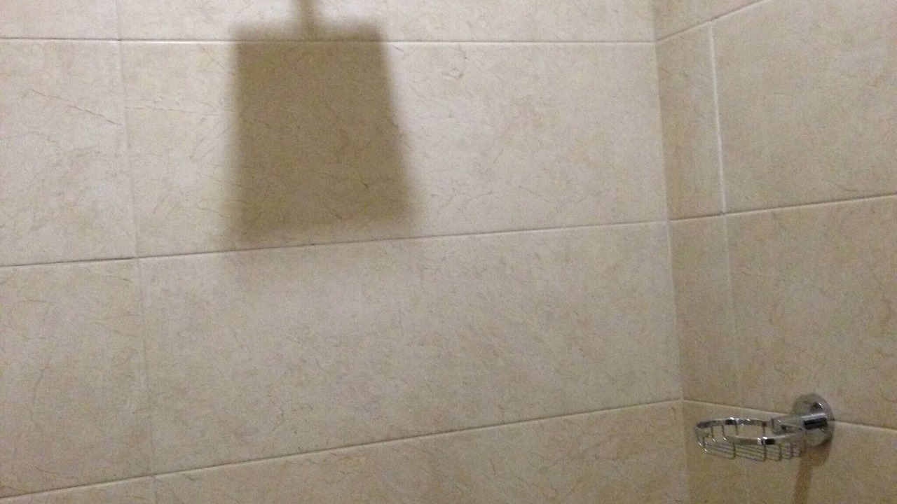 Photo of Bathroom in Las Gaviotas