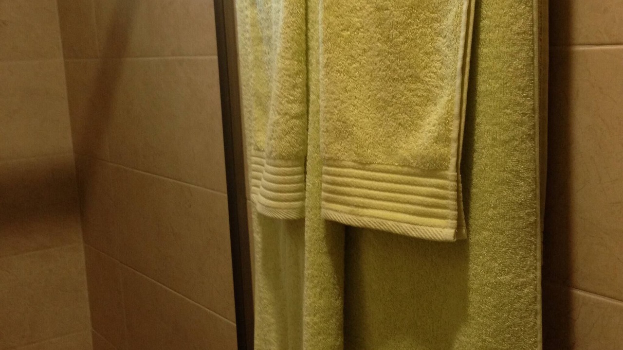 Photo of Bathroom in Las Gaviotas