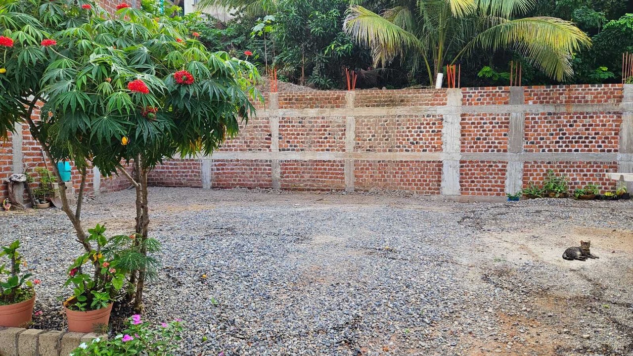 Photo of Outdoor in La Manzanilla
