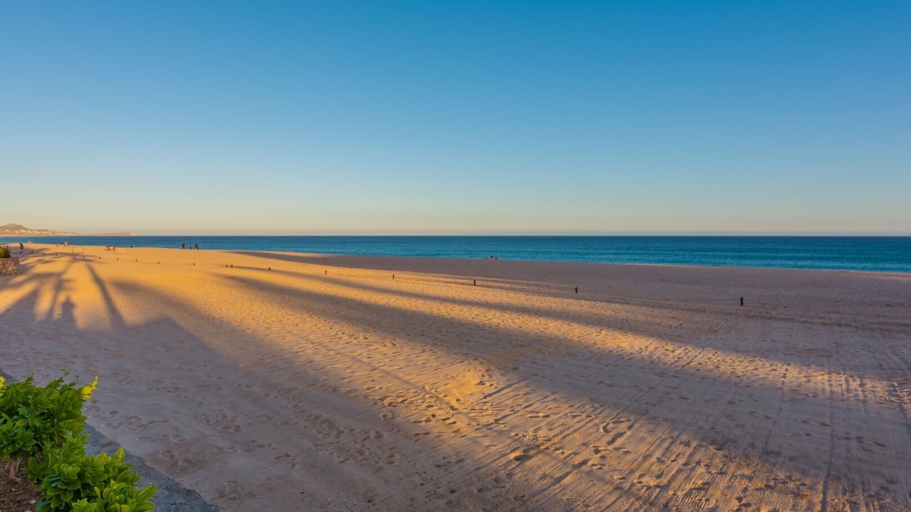 Photo of Others in San Jose del Cabo