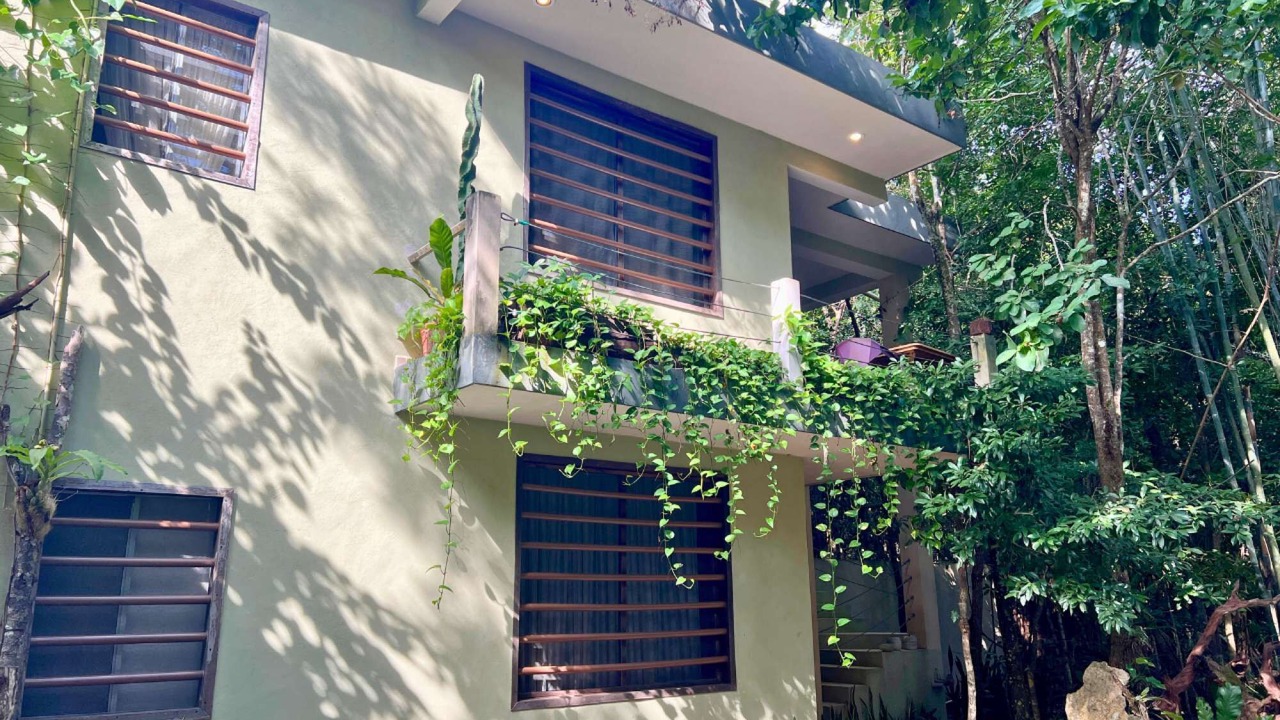 Photo of Outdoor in Puerto Morelos