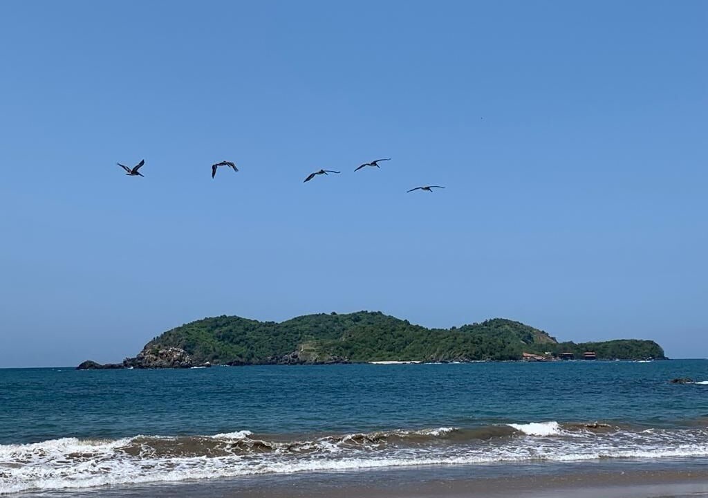 Photo of Others in Ixtapa