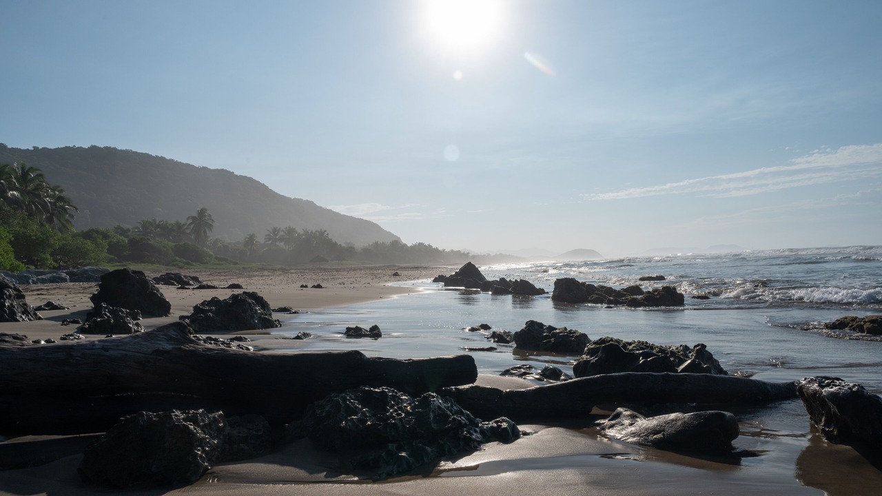 Photo of Others in Troncones