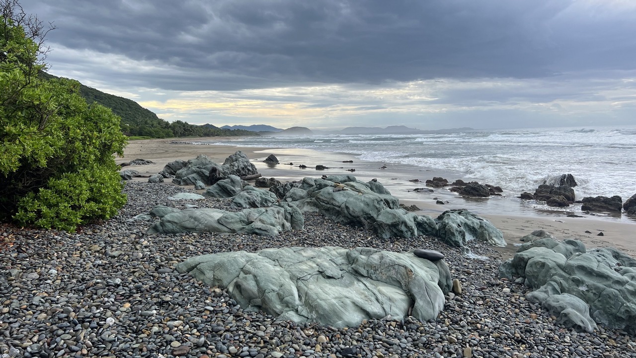 Photo of Others in Troncones