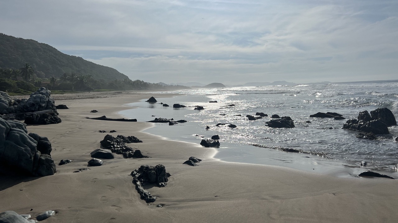 Photo of Others in Troncones