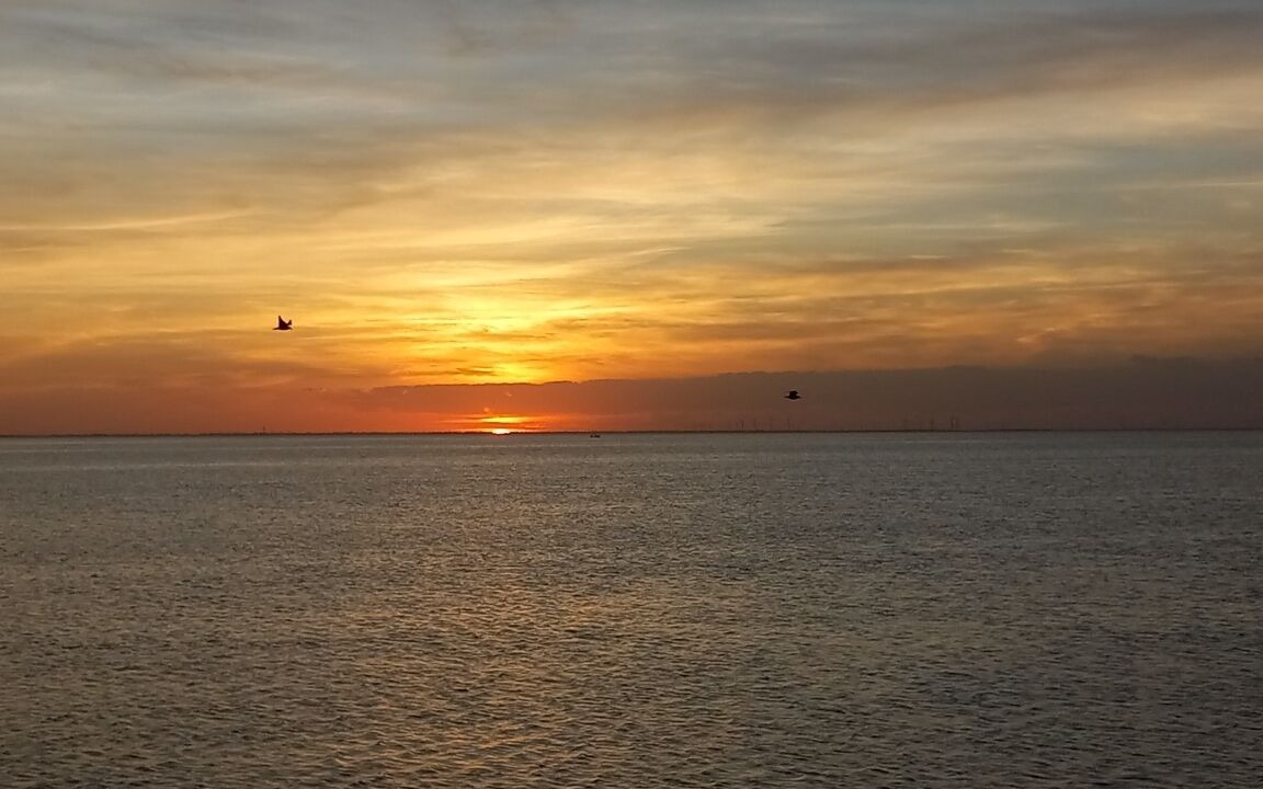 Photo of Others in Port Isabel