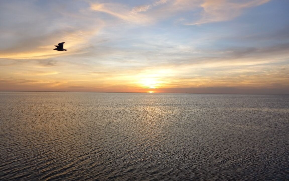 Photo of Others in Port Isabel