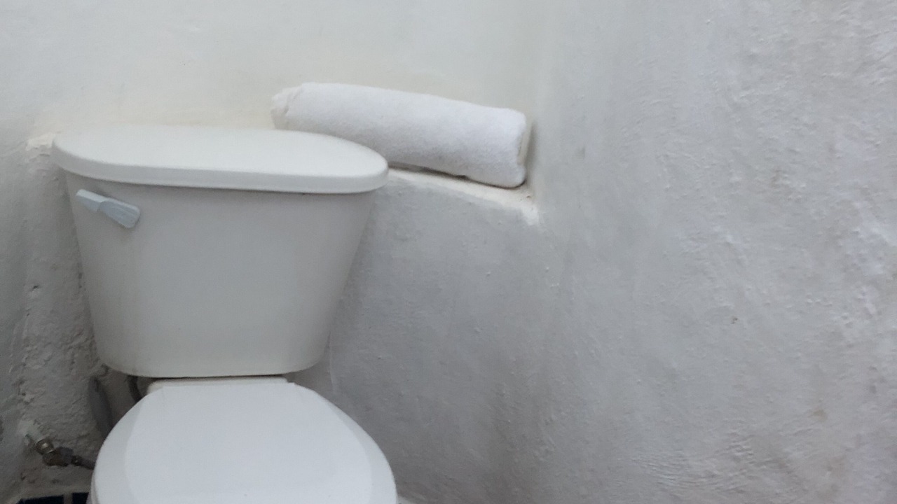 Photo of Bathroom in Alfredo V. Bonfil