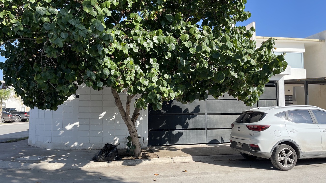 Photo of Outdoor in Torreon