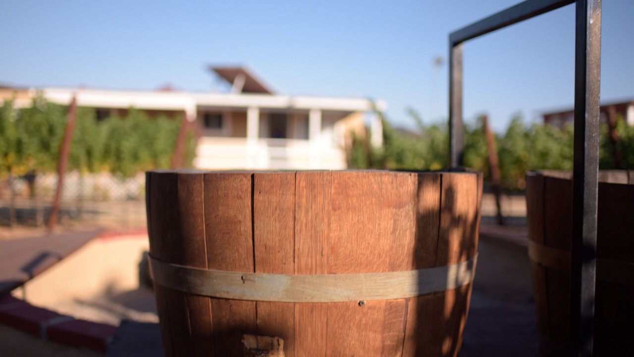 Photo of Outdoor in Valle de Guadalupe