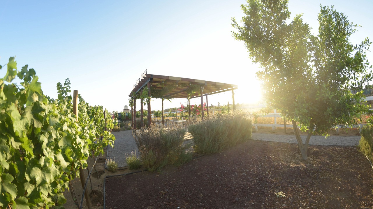 Photo of Outdoor in Valle de Guadalupe