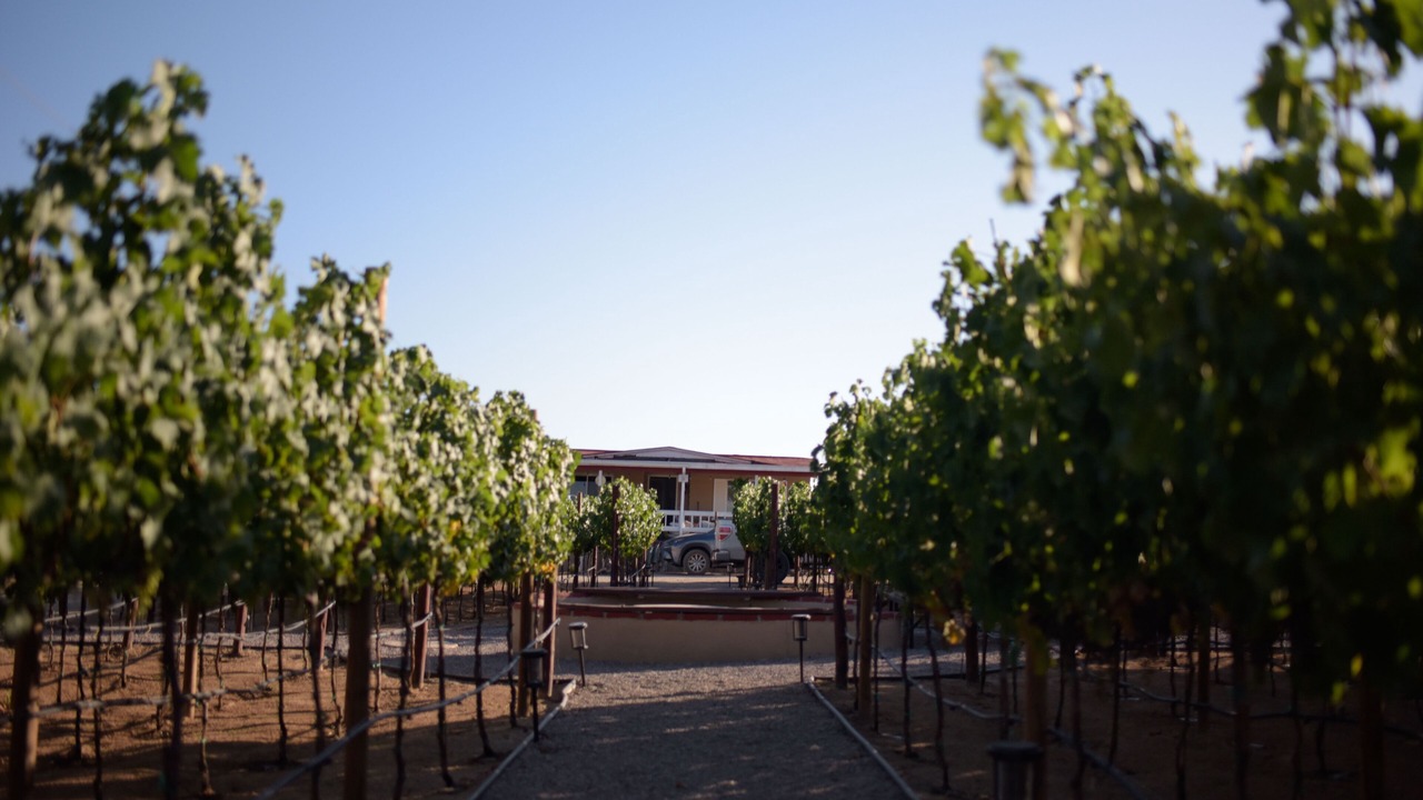 Photo of Outdoor in Valle de Guadalupe