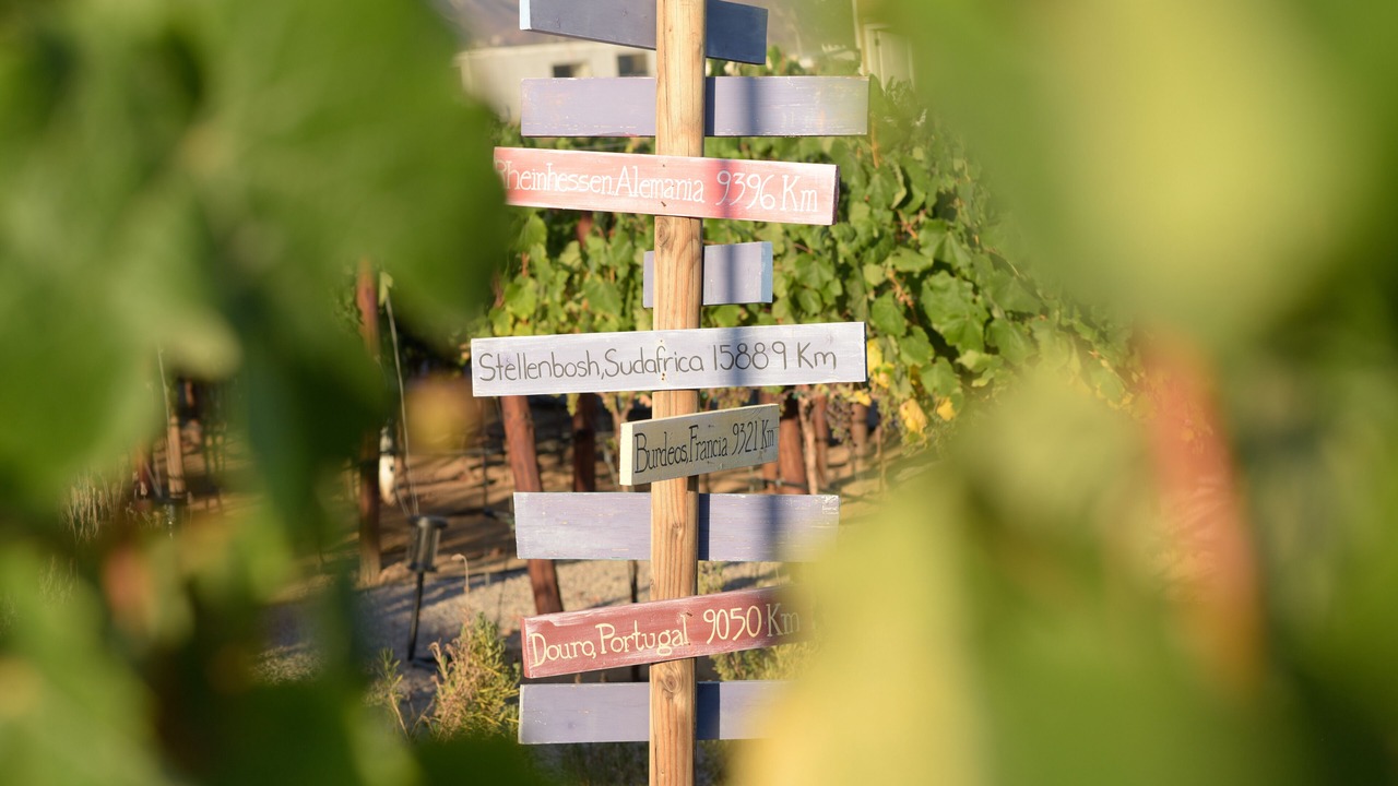 Photo of Outdoor in Valle de Guadalupe