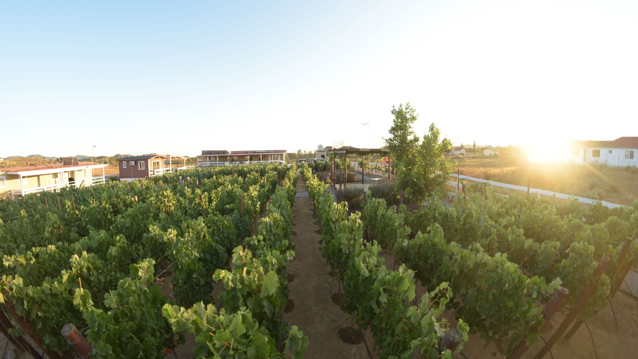 Photo of Outdoor in Valle de Guadalupe
