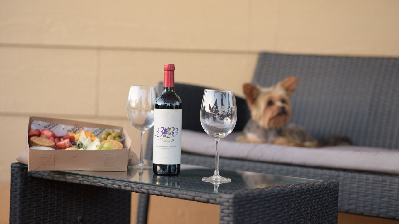 Photo of Others in Valle de Guadalupe