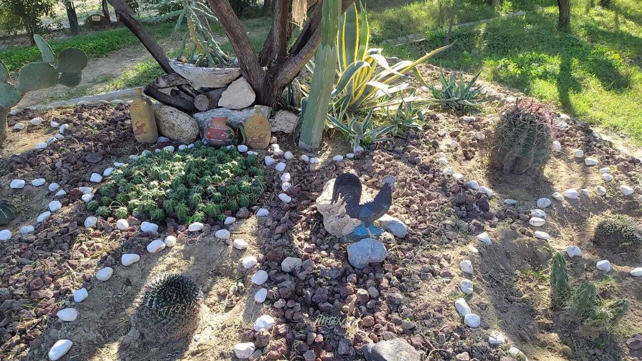 Photo of Outdoor in Lamadrid