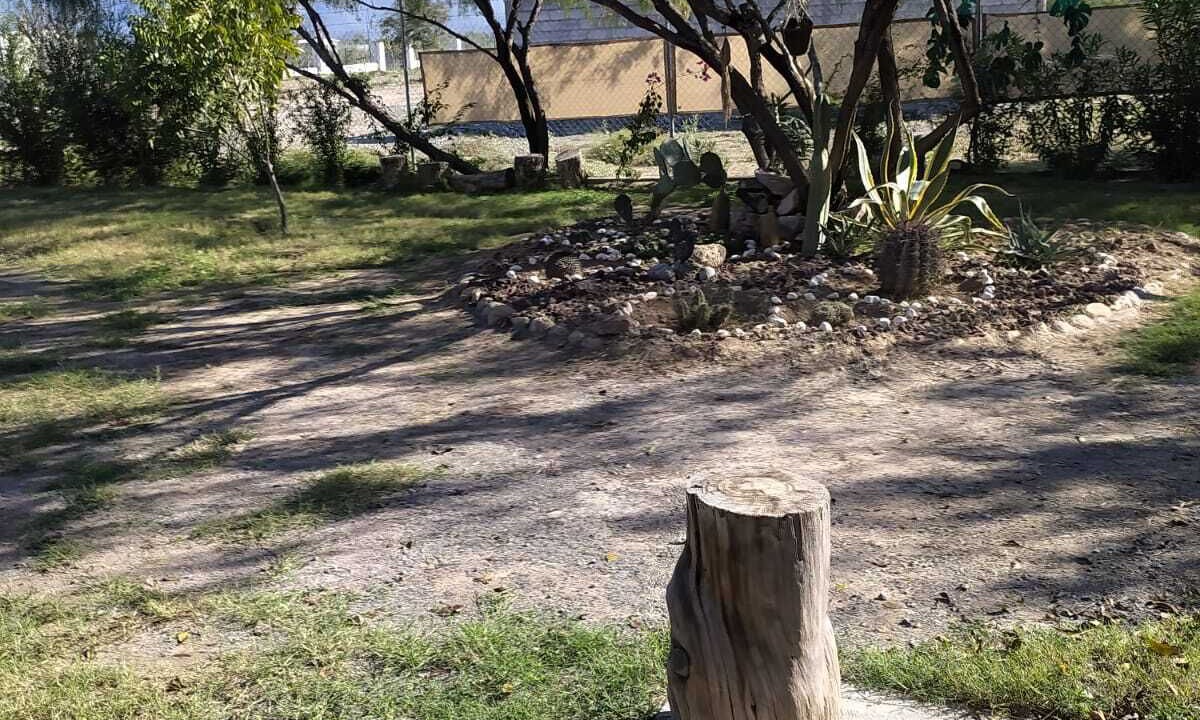 Photo of Outdoor in Lamadrid