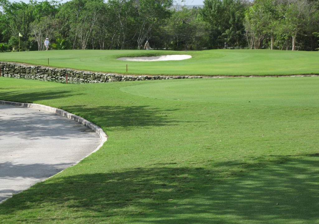Photo of Others in Puerto Morelos