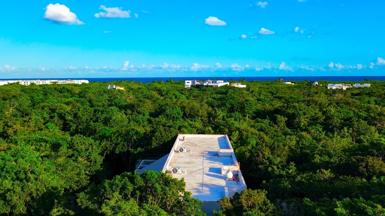 Photo of Outdoor in Akumal