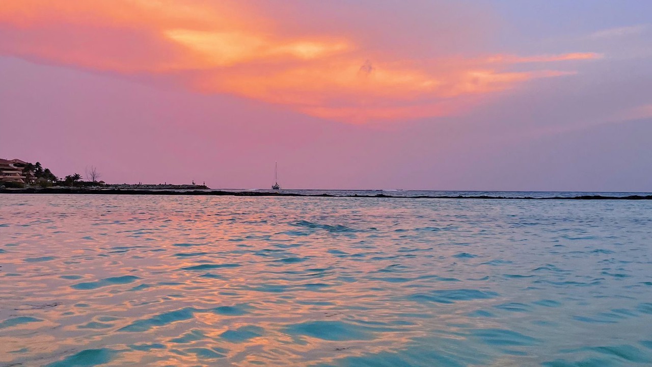 Photo of Others in Puerto Aventuras