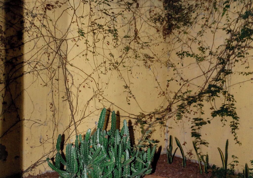 Photo of Outdoor in San Agustin