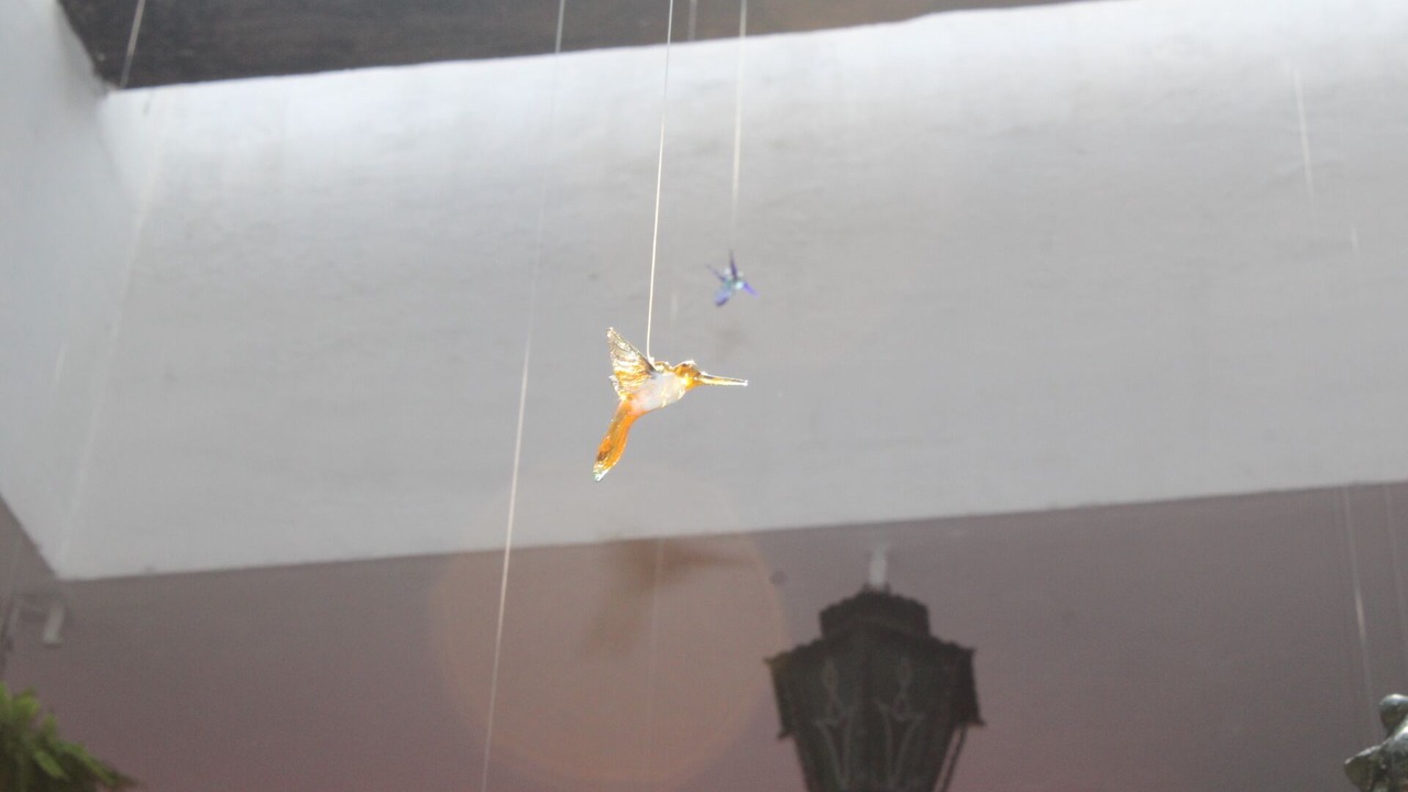 Photo of Others in Guadalajara