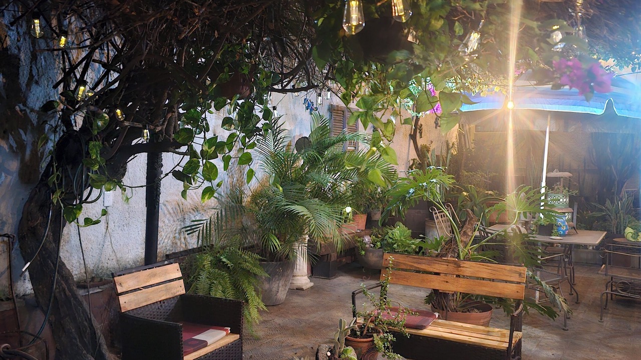 Photo of Patio Balcony in Guadalajara