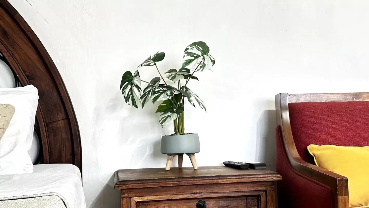 Photo of Bedroom in Guadalajara