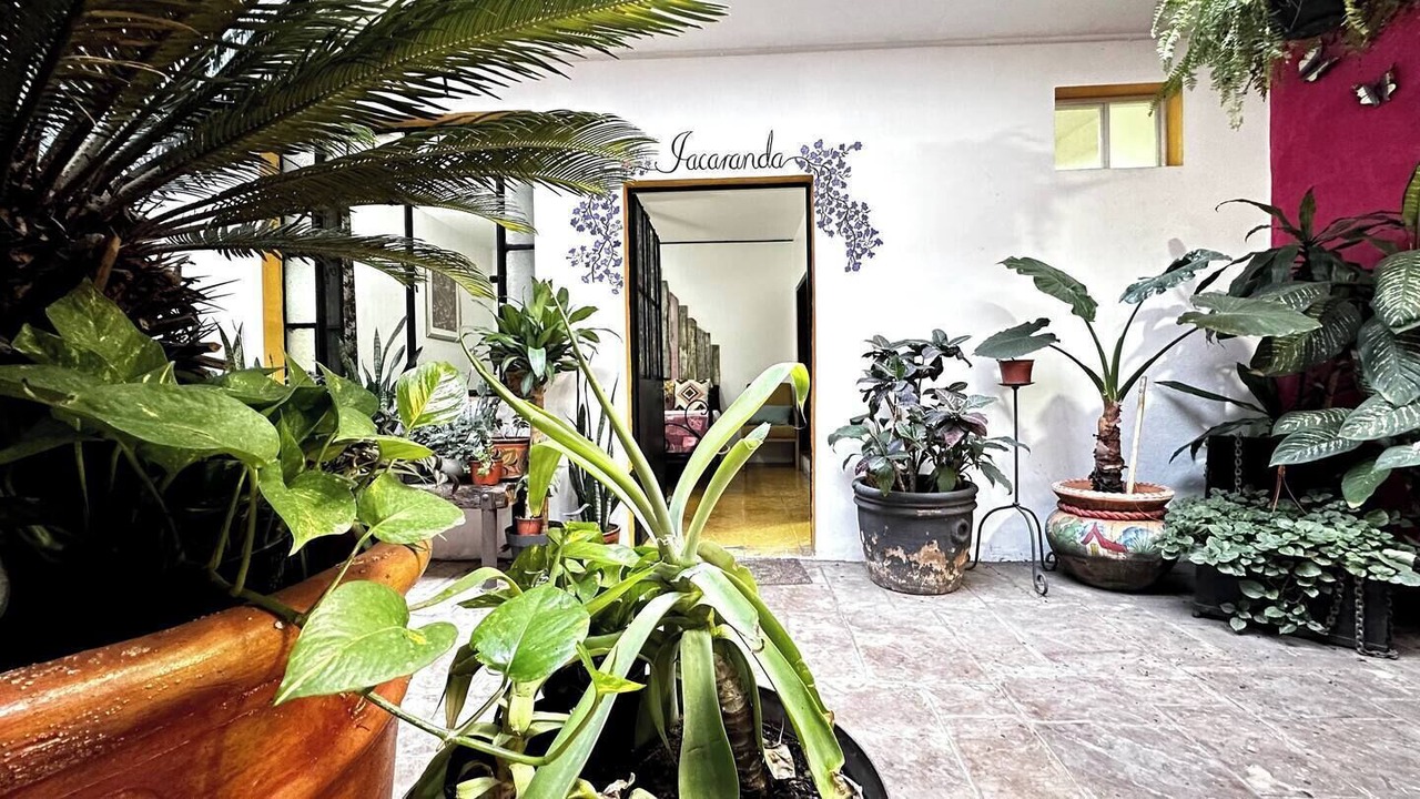 Photo of Outdoor in Guadalajara