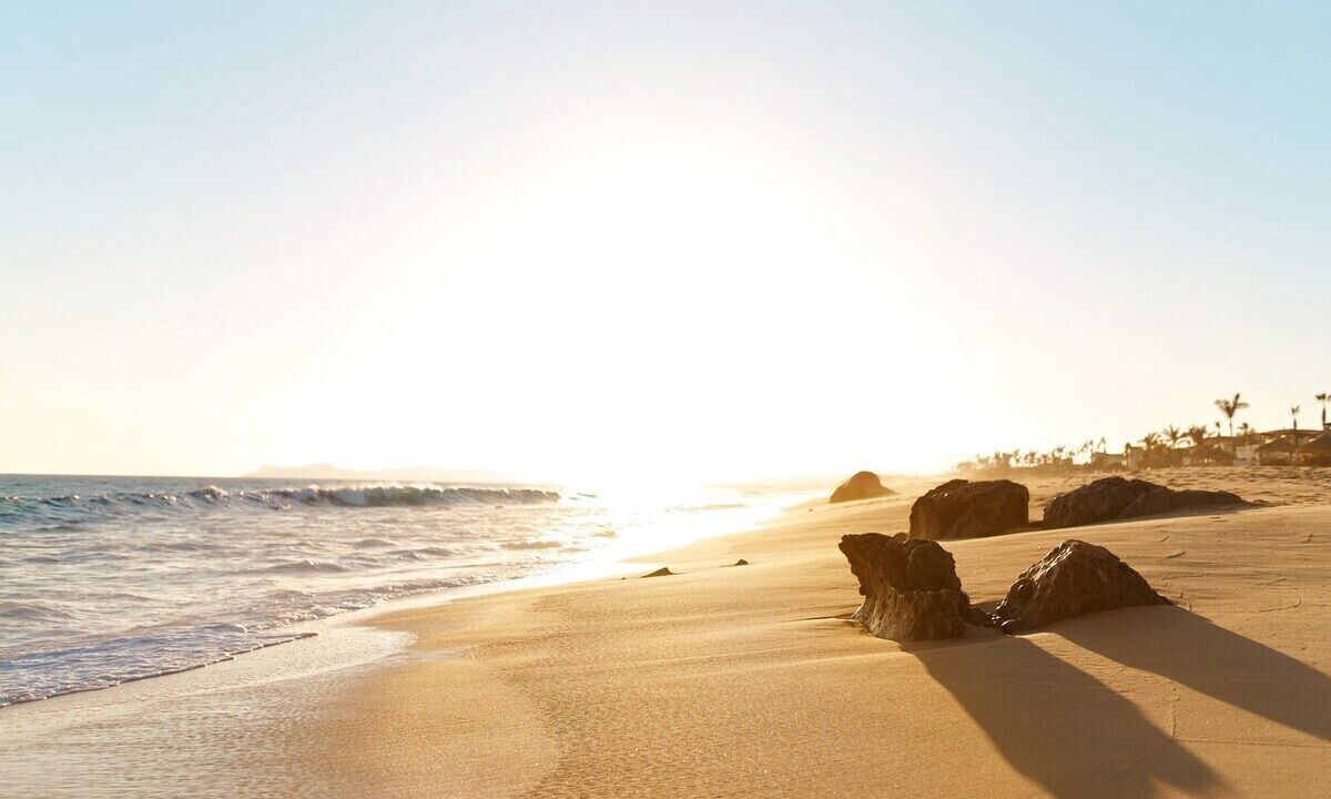 Photo of Others in Chula Vista