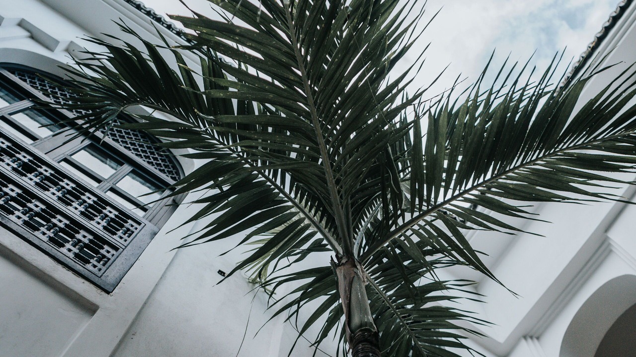 Photo of Outdoor in Tulum